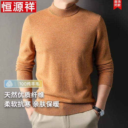 【1.3折 送运费险！】恒源祥 主推款【400克加厚澳洲羊毛】冬季新款男装半高领羊毛衫 9001 商品图1
