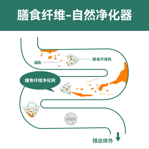 【营养新天“菜”】莱茵衣藻焕活饮 高膳食纤维 商品图2