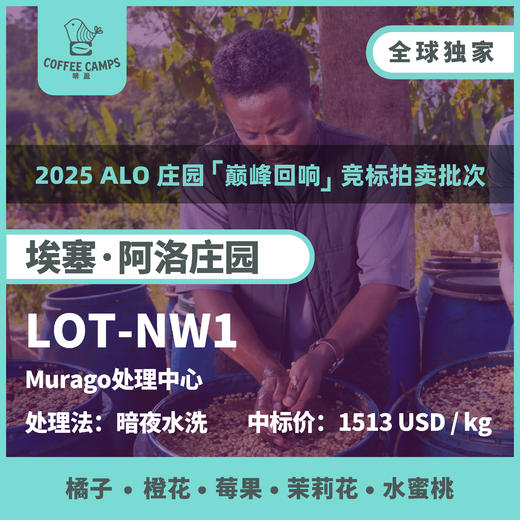 25产季 埃塞 阿洛 Alo LOT-NW1 暗夜水洗（生豆）空运批次 商品图0