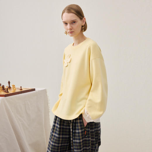 谜底套头针织衫长袖2025年冬季新品立体绣花小鸟设计女254MZ1883 商品图1