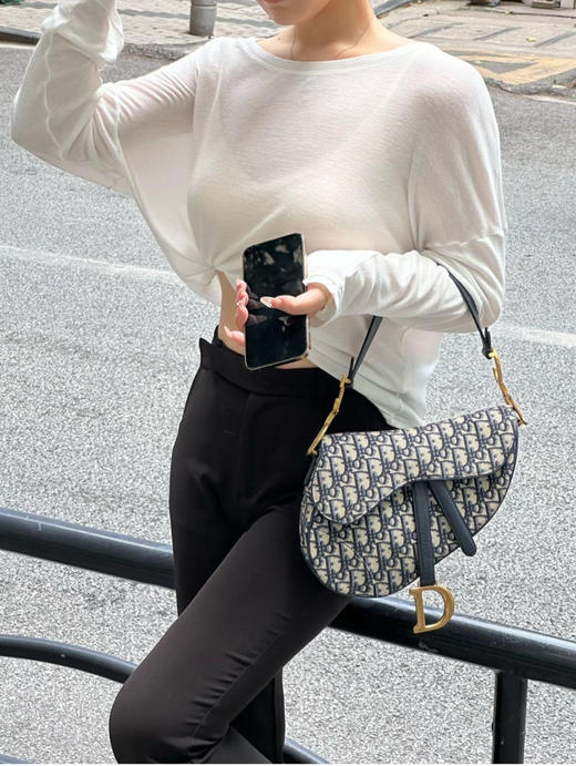 dior 中号 老花 马鞍包 商品图3