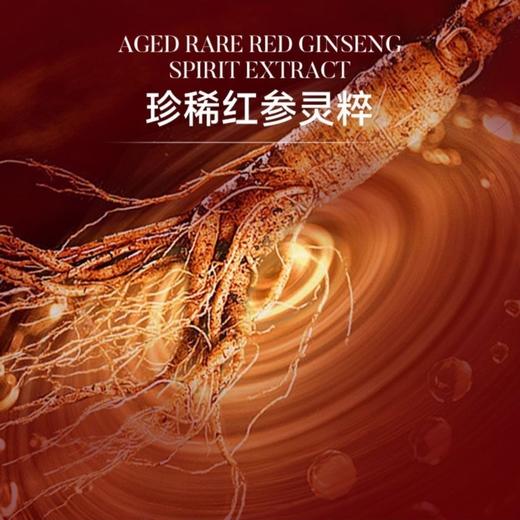 BONOSIDAN红参灵芝孢子精华油 商品图4