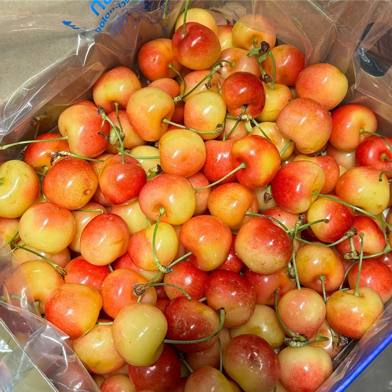 【顺丰快递】智利进口黄金雷尼尔车厘子 J-JJJJ  礼盒/原箱装 新鲜时令水果 黄色大樱桃 - CJYD