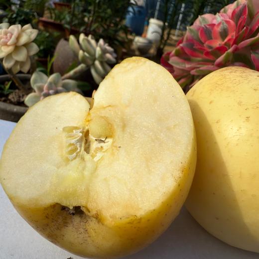 生态黄金富士苹果 | 合作生产 | 基地直发*‌ ‌Golden Fuji Apple‌ 商品图5