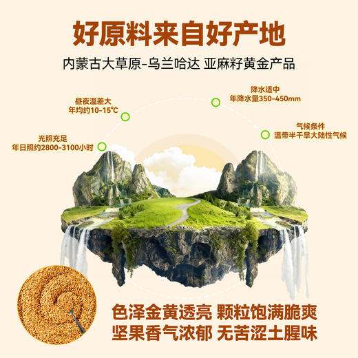 熟黄金亚麻籽子烘焙即食免洗内蒙特产胡麻籽可打粉代餐官方旗舰店 商品图1
