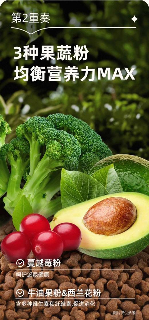 顽皮全价幼猫粮鸡肉味1.5kg/袋 商品图4