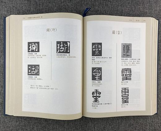 《中国汉字文物大系》，全15册，16开精装，刘志基主编，大象出版社2013年版，定价5600，售价1380 商品图7