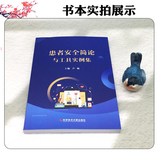 患者安全简论与工具实例集 尹畅 主编 安全管理与患者安全 患者安全工具 患者安全行动 工具实例 9787523525913科学技术文献出版社 商品图4