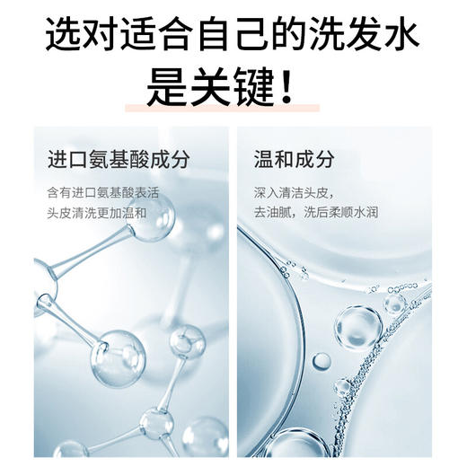 【分仓直发包邮】LK氨基酸平衡控油洗发水500g 商品图7