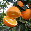 赣南脐橙【10斤39元】丨果园现摘 香甜多汁VC解腻 商品缩略图4