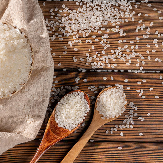 超值10斤【颗粒饱满香滑软润】鱼台大米东北大米礼盒新货真空。ja 商品图2