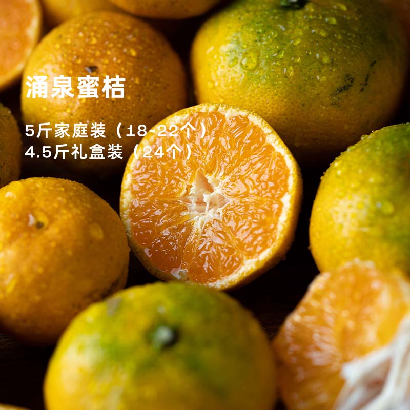 企鹅市集|浙江涌泉蜜桔 家庭装/礼盒装可选 爆汁橘子 高山橘园自然生长