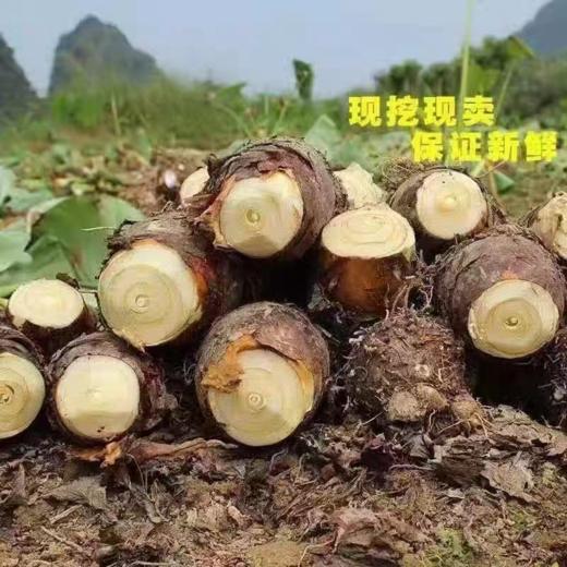 拓高 云南香糯芋头5斤装 现挖现发【周日不发货】 商品图1