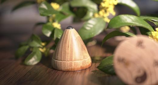 纯阳功练功器材 桃花顶 拍打棒 悬挂玉带 商品图4