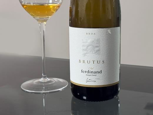 斯洛文尼亚2020年费迪南酒庄瑞布拉橙酒 商品图4