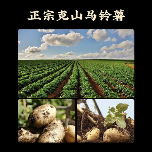 【12.8元两袋试吃活动】远味克山土豆粉条200g*2袋包邮 商品图2