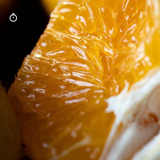 企鹅市集|浙江涌泉蜜桔 家庭装/礼盒装可选 爆汁橘子 高山橘园自然生长 商品图6