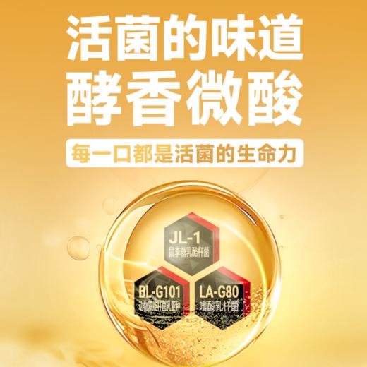 【顺丰冷链配送】味动力活性低温益生菌活菌瓶经典原味100ml*20瓶 商品图1