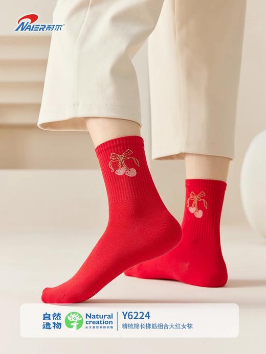 5双【新疆阳光棉 添加莱卡纤维 高弹不紧绷】耐尔精梳棉本命年鸿运袜5双装 商品图3