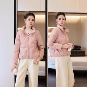 ASE 7761时尚简约立领短款羽绒服韩版百搭显瘦90白鸭绒