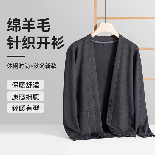 【棉毛衫针织开衫】占姆士男士V领开衫常规衫质感毛衣秋冬厚款保暖 商品图0