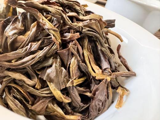 2025春  夜来香单丛——陂头种  十大香型之夜来香  125克 商品图7