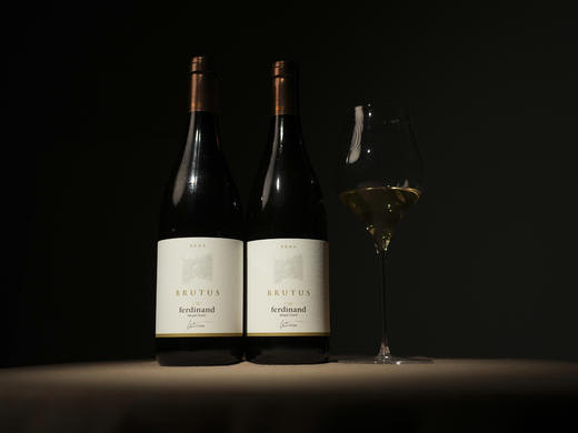 斯洛文尼亚2020年费迪南酒庄瑞布拉橙酒 商品图5