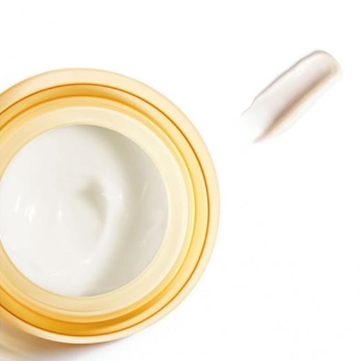 薇姿Neovadiol玻色因提升面霜50ml 紧致肌肤 商品图0