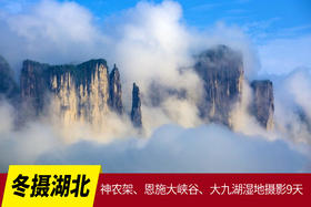 冬摄湖北：神农架、恩施大峡谷、大九湖湿地摄影9天