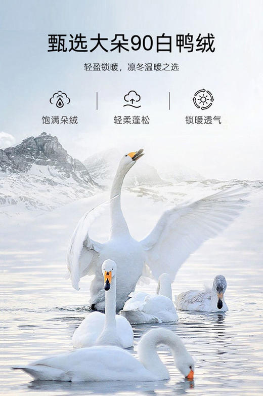 【多妈团购 国标90白鸭绒立领摇粒绒羽绒服9733】随身小暖炉，90白鸭绒含绒量，上身轻盈不臃肿，摇粒绒+云梯布包格拼接设计-连横 商品图11
