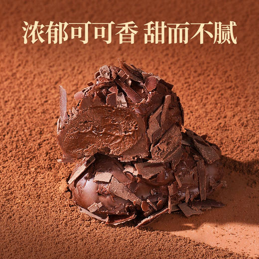 爱普诗松露形黑巧克力100g/045563  浓郁可可香 甜而不腻 商品图2