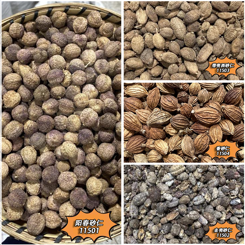 砂仁   阳春砂仁  净砂仁  菜砂仁   香砂仁