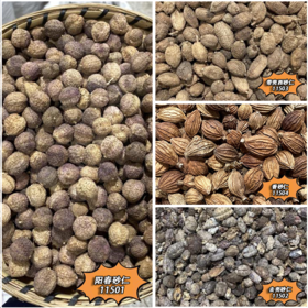 砂仁   阳春砂仁  净砂仁  菜砂仁   香砂仁
