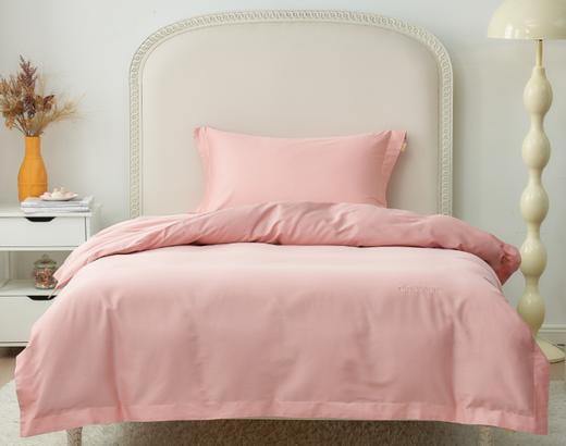 恐龙  60S全棉缎纹三件套 商品图1