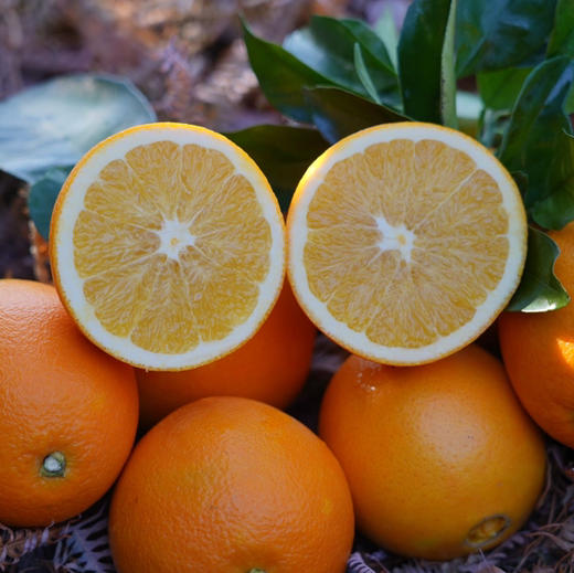 【限量秒杀】正宗赣南脐橙高山果老树脐橙 10斤/20斤装 玲珑果（带箱）德邦快递  2025年赣南脐橙协会地标证明千万级绿萌机器选果非人工盲选（因为看不到果肉里面的品质和糖酸度比） 商品图5