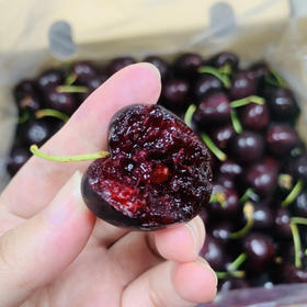 智利空运精品车厘子桑缇娜   2斤/5斤