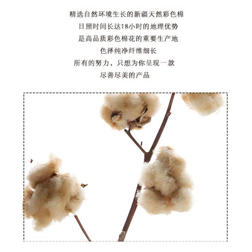 新疆天然彩棉四季被2700克 | 母婴级亲肤面料 可套被套换洗 耐用不起坨 商品图4