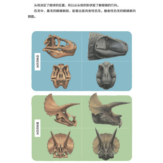 《大科学之友经典科普书:如果我是科学家》（全5册） 商品图11