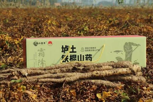 【药山药粉/山药挂面/山药红薯粉丝/山药荞麦黑麦面/山药干片/山药刀削面】自有基地 不收百家货 产自核心产区 营养丰富 味正鲜美 商品图6