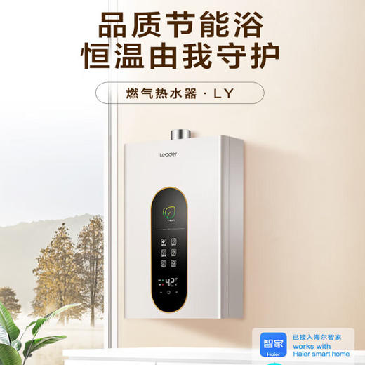 统帅 12升 燃气热水器 恒温家用 洗澡智能 远程操控 智能防冻  五重净化JSQ22-12LY(12T)U1天燃气 商品图0