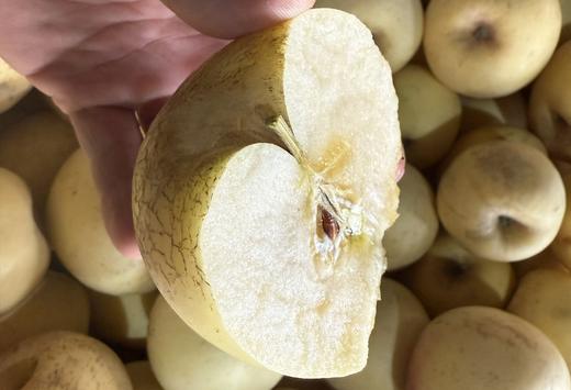 黄金富士苹果瑕疵果4.3斤【基地直发】产地：山东烟台 商品图1