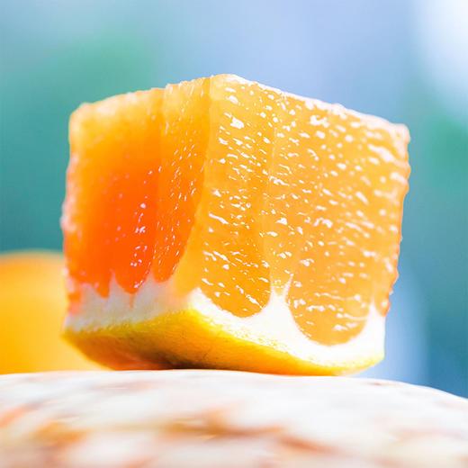 【宜昌助农馆】纽荷尔脐橙新鲜上市  当季新鲜水果香甜多汁 商品图2