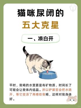 猫咪尿闭不用慌！五大克星来解决