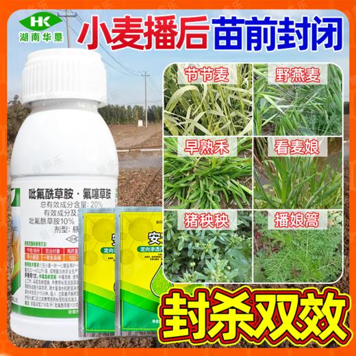 吡氟酰草胺氟噻草胺悬浮剂小麦苗前封闭专用禾阔双封除草剂套餐 商品图1