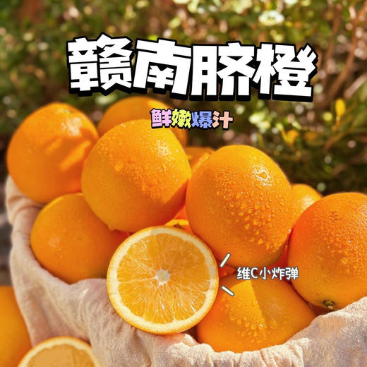 【现摘现发】正宗赣南脐橙 安远县核心产区 中果/大果 净重9斤 顺丰直发 商品图0
