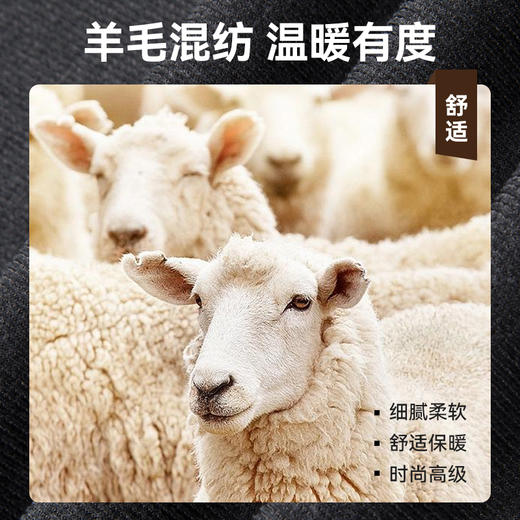 【棉毛衫针织开衫】占姆士男士V领开衫常规衫质感毛衣秋冬厚款保暖 商品图2