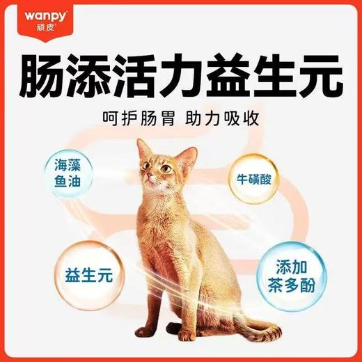 顽皮全价成猫粮500g/袋 商品图2