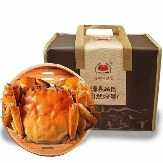 2.5两公蟹+3两母蟹（各5只） 鲜活大闸蟹 肥满黄多 商品图0