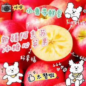 新疆阿克苏冰糖心苹果（5斤，8斤）