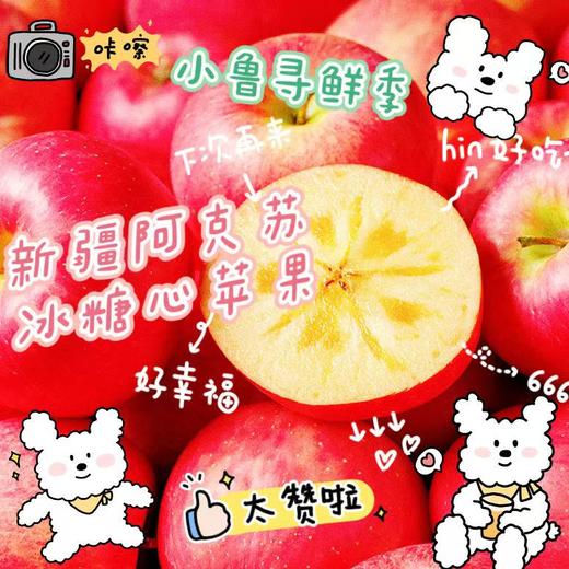 新疆阿克苏冰糖心苹果（5斤，8斤） 商品图0